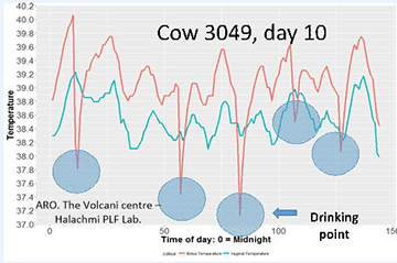 Diagram över temperaturen i vommen 