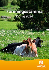 Omslag Föreningstämma 2024