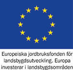 EU-flagga