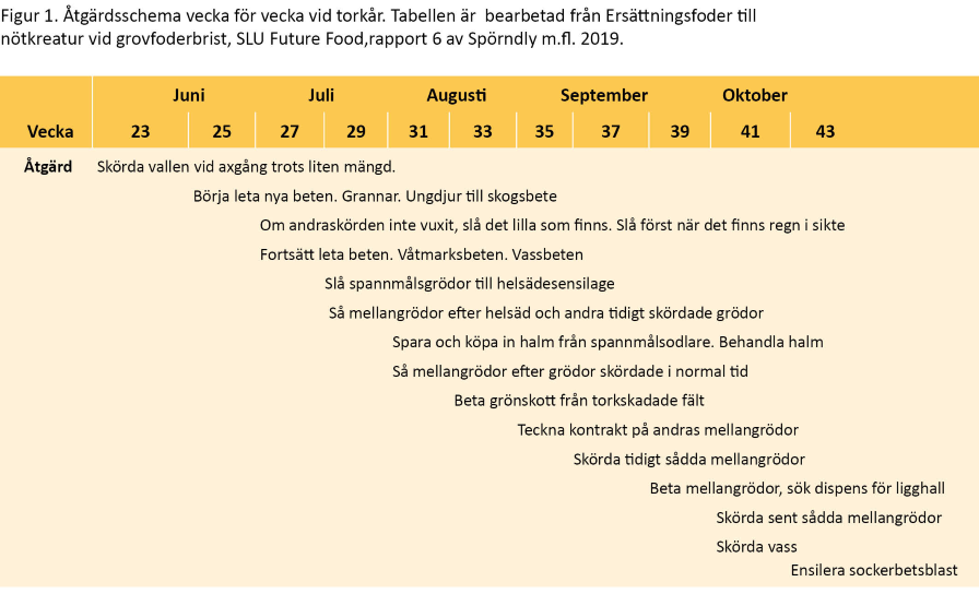 Åtgärdsplan.png